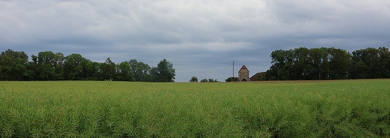 Landturm und Landhege (= 